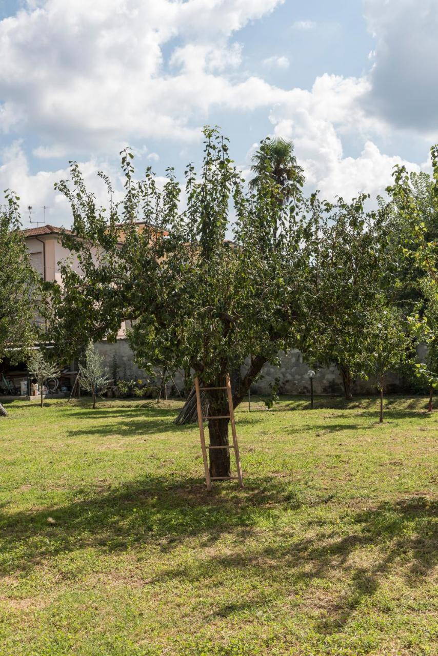 La Chiusa Delle Monache Лукка Екстер'єр фото